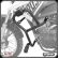 Protetor de Motor e Carenagem com Pedaleira Scam Crosser 150 2014+