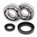 Kit Rolamento e Retentor Virabrequim All Balls CR250R 92-07