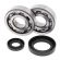 Kit Rolamento e Retentor Virabrequim All Balls CR250R 92-07
